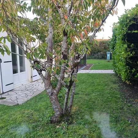 Maison De Plein Pied De 67 M2 Saint-Georges-de-Didonne